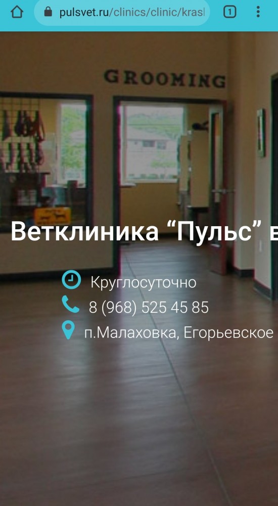 Помогите спасти кошку!