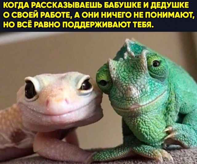 Картинки и мемы для настроения 02.08.2021