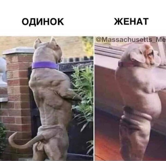 Юмор в картинках 22.08.21