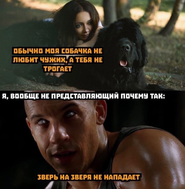Весёлый полтишок 21.09