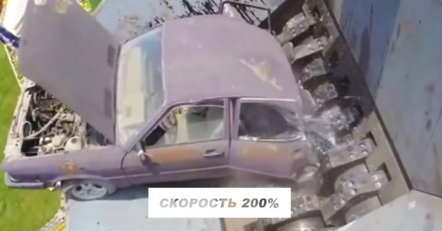 Есть только два пола