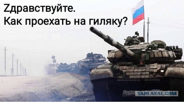 Русские и Украинцы
