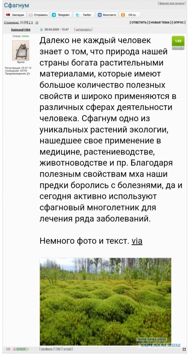 Не нужен нам берег турецкий