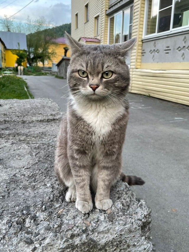 Кот д’Ивуар