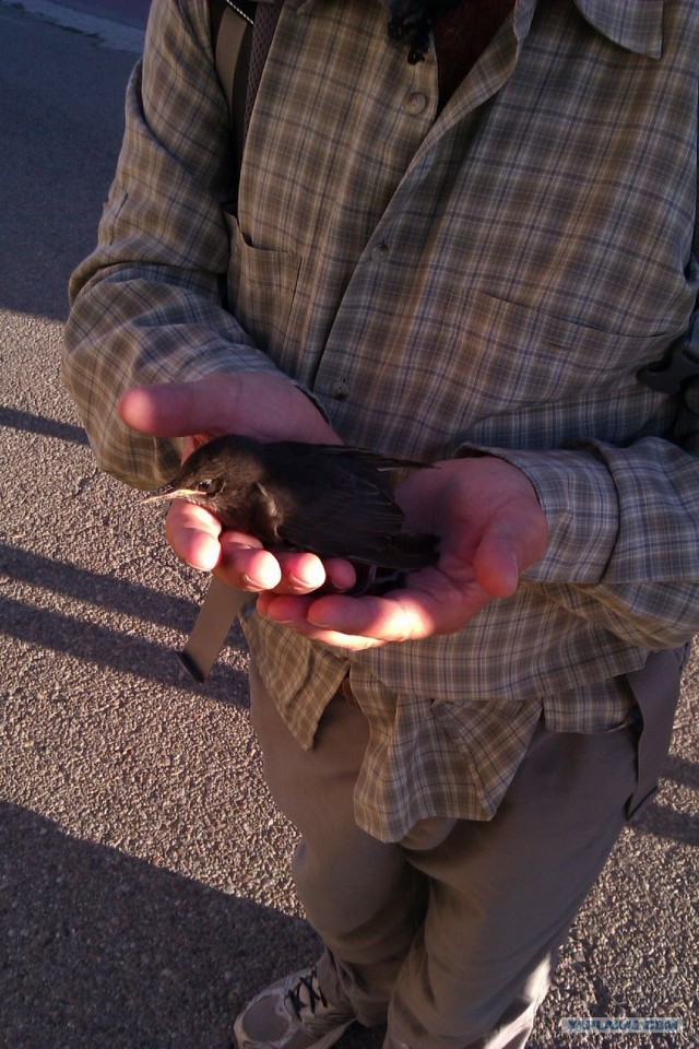 500 км. по Испании пешком