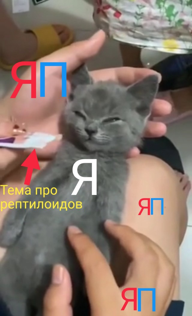 Секретные факты о рептилоидах. Они давно среди нас!