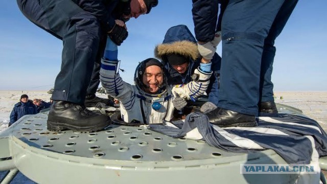 Пандемия съехавших крыш - разновидности болезни. Россия и мир. Часть 43.