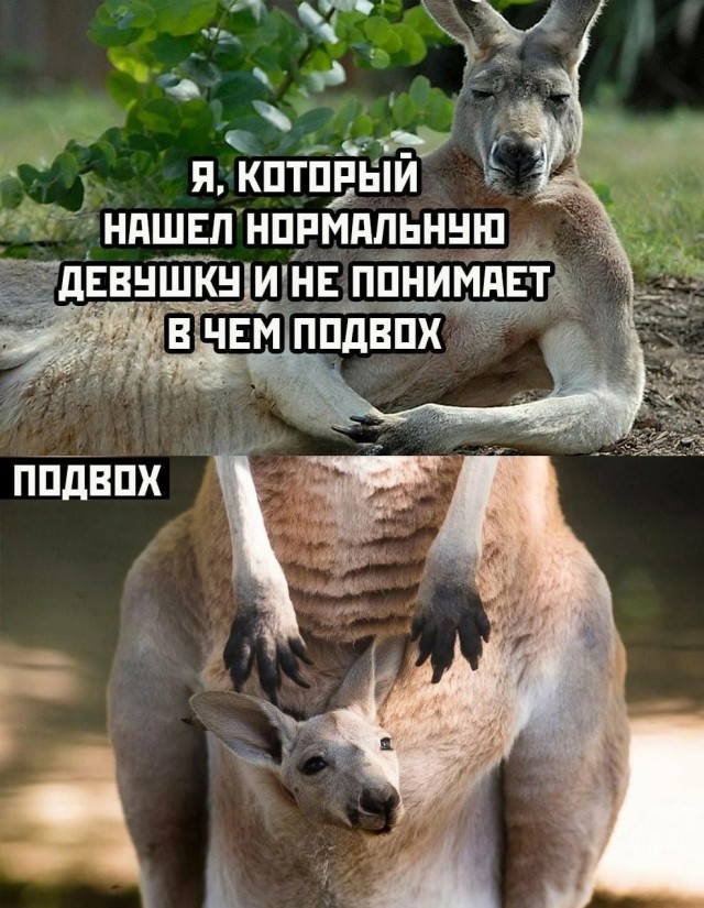 "Хочу просрать немного жизни, но не знаю, почему именно"
