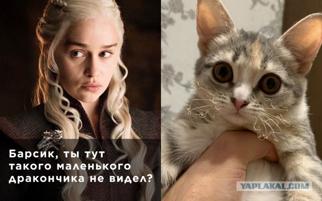 Как пахнет огонь