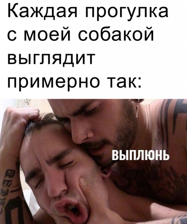 Весёлый полтишок 29.12.22