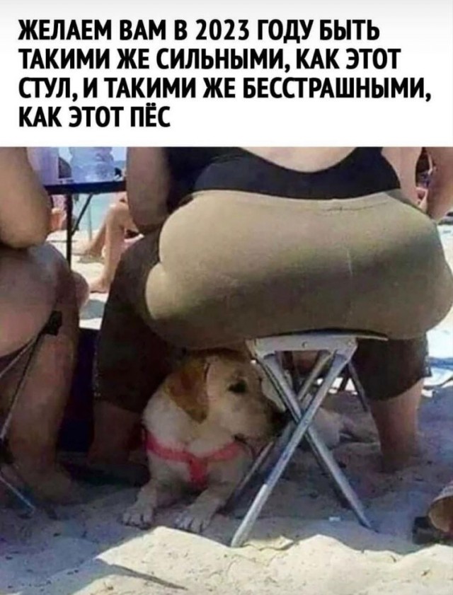 Победная поступь идиотизма по планете – том 5