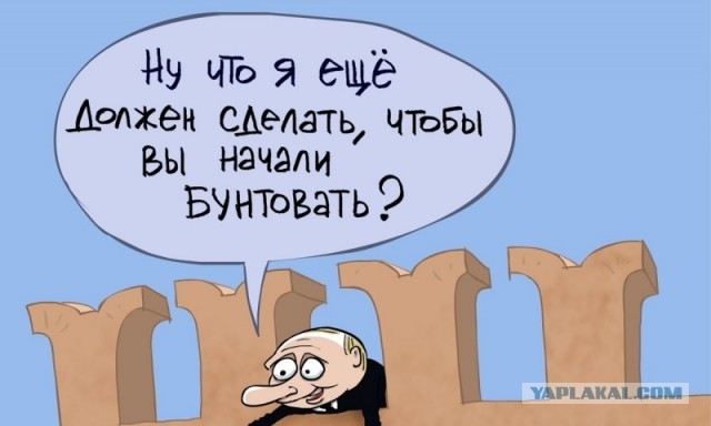 Комитет Совфеда поддержал закон о публикации деклараций без личных данных