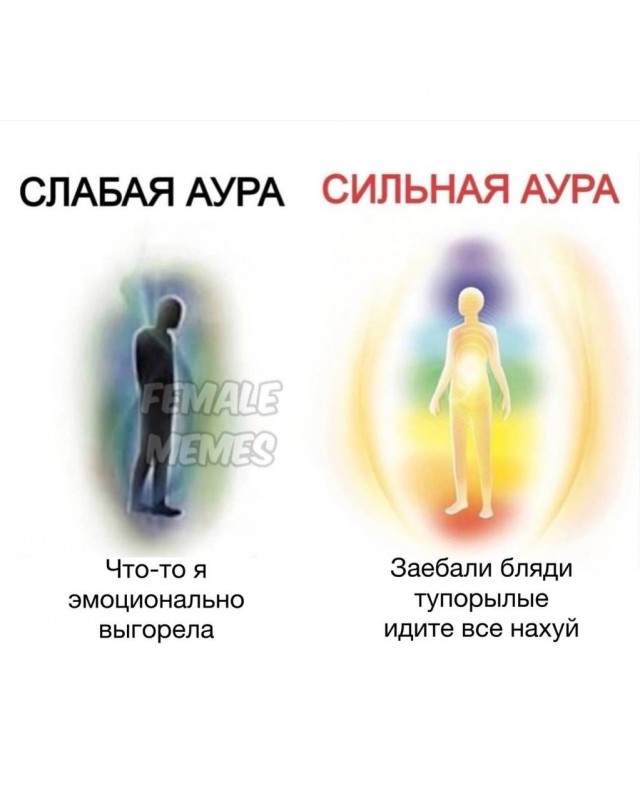 Победная поступь идиотизма по планете – том 8
