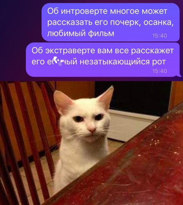 Весёлый полтишок 21.02.23