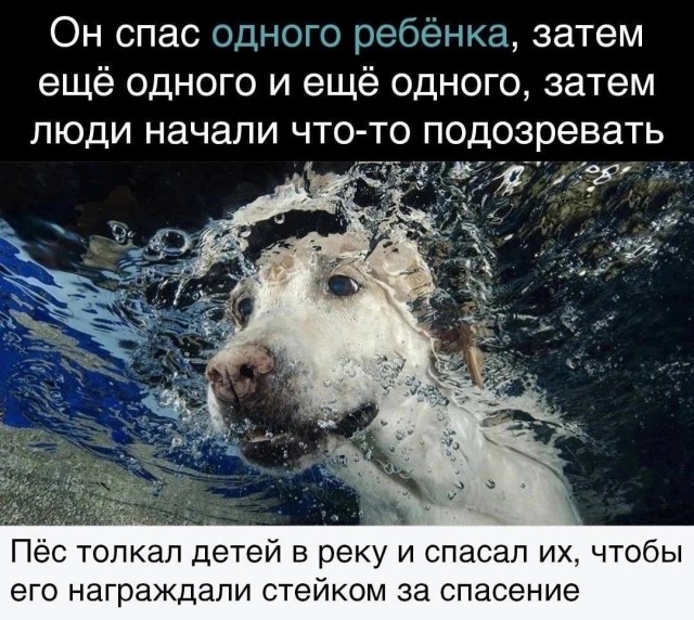 Так себе картинки 02.05.23