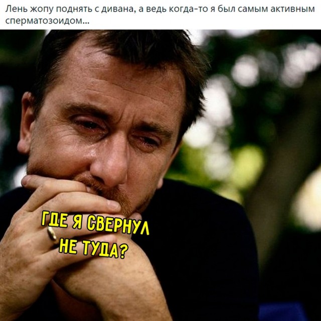 Весёлый полтишок 08.05.23