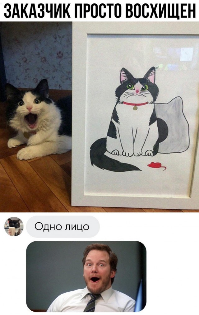 Картинки весёлые, вроде