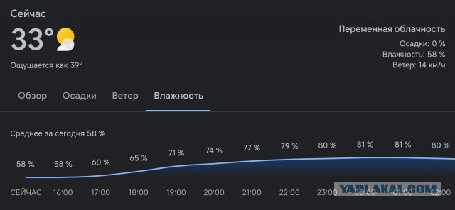 Вам больше некуда лететь