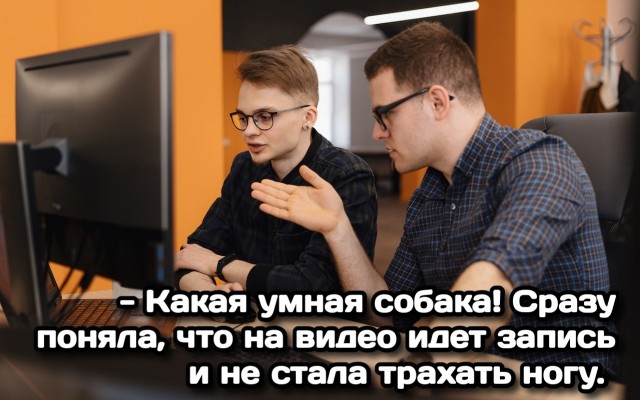Если что, в этом видео еще есть собака