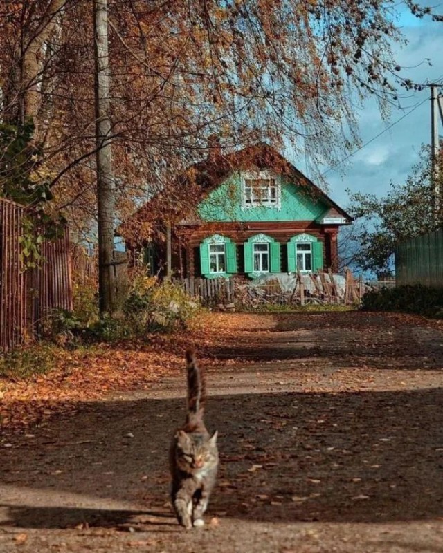 Прикольные и просто красивые картинки 22.09.2023