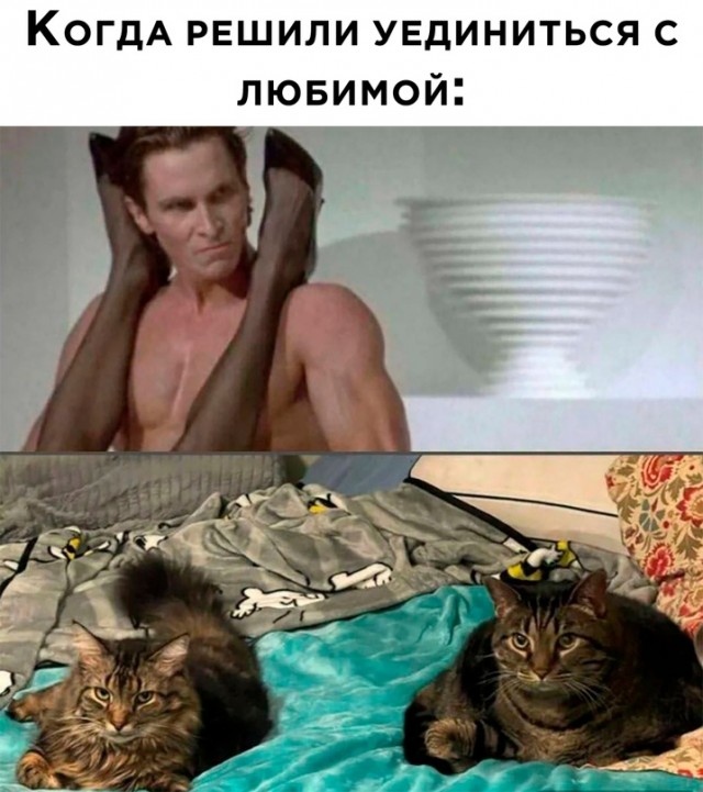 Весёлый полтишок 22.10.23