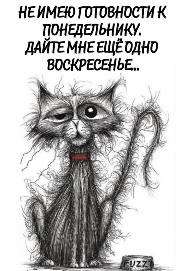 Весёлый полтишок 12.11.23