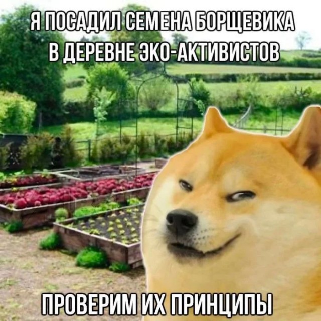 Нет существа двуличнее на свете, чем экоактивист в неотапливаемой квартире