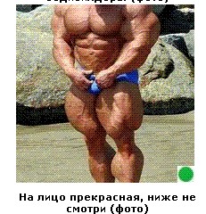 Автодемотиватор на ЯПе