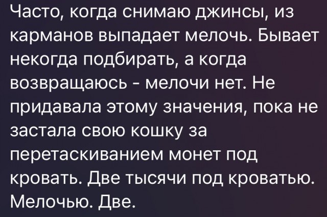 Всего понемногу. От 26.01.24