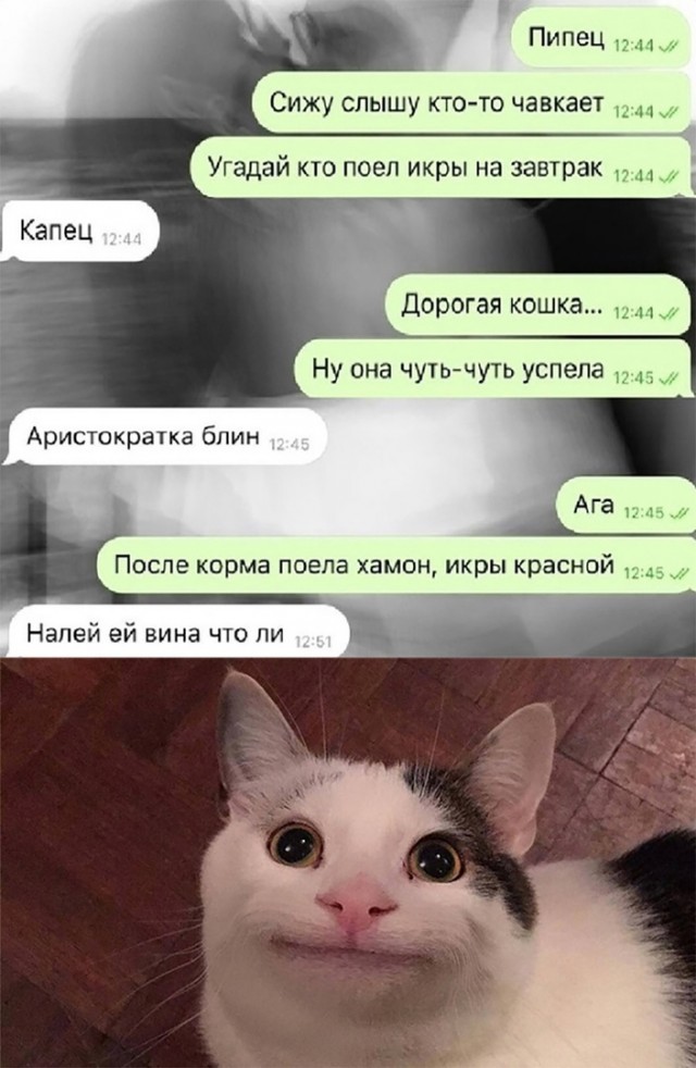 Так себе картинки 04.05.24