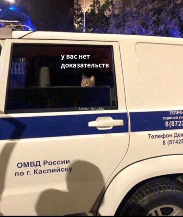 Так себе картинки 01.06.24
