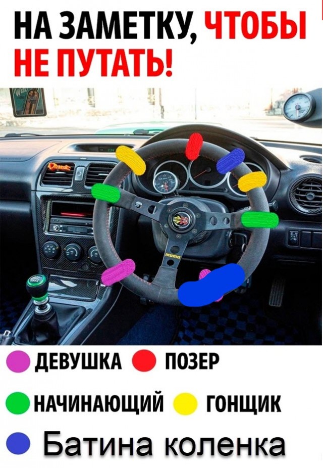 Весёлый полтишок 10.06.24