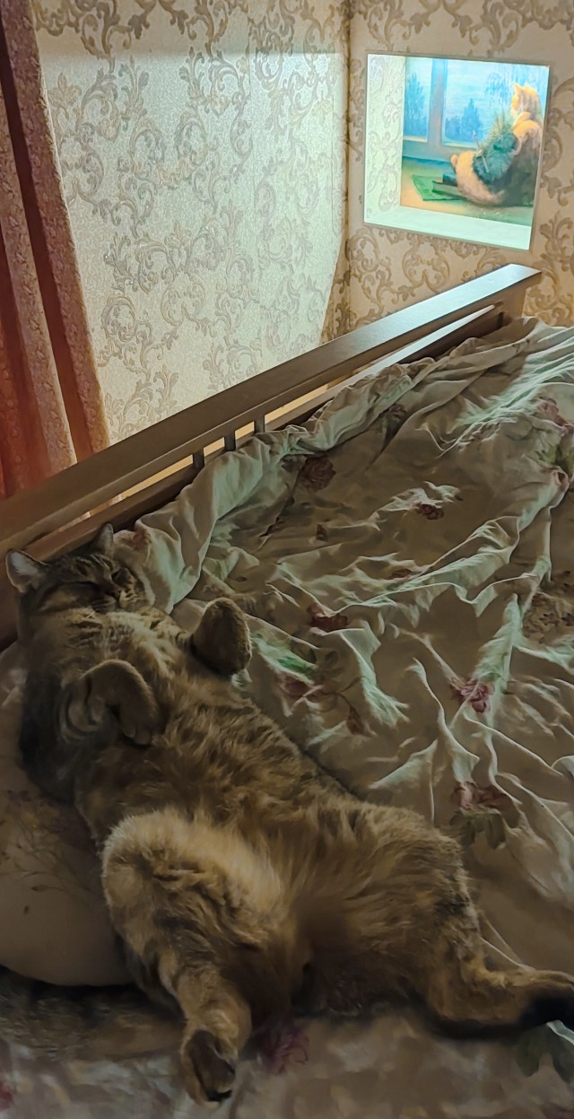 Котовторник же!