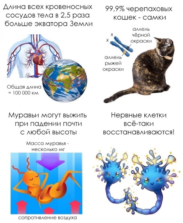 Завалялось тут случайно немного забавных картинок