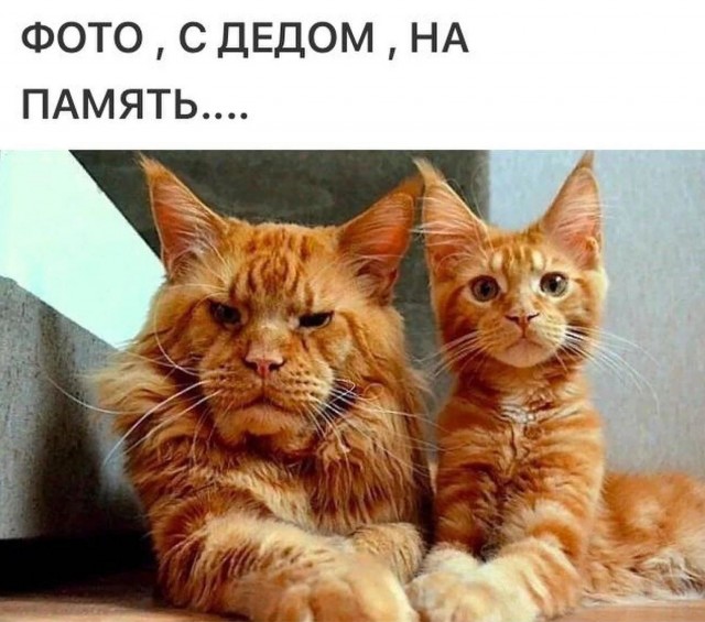 Завалялось тут случайно немного забавных картинок