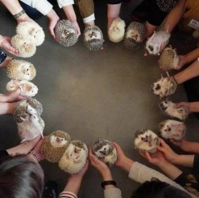 Фото Рулетка