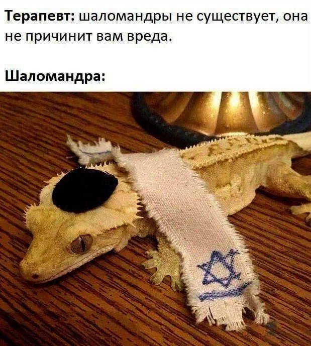 Шаломандра израилевна