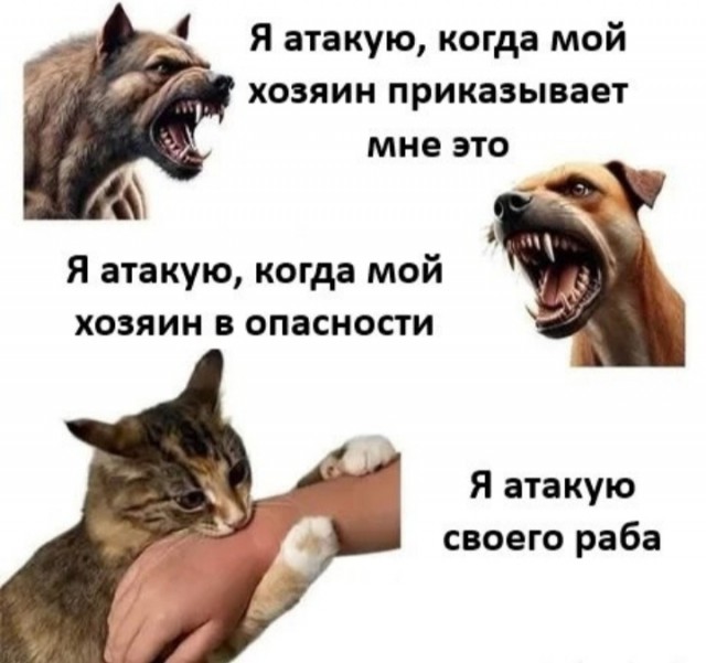 Из мира деградации - 11