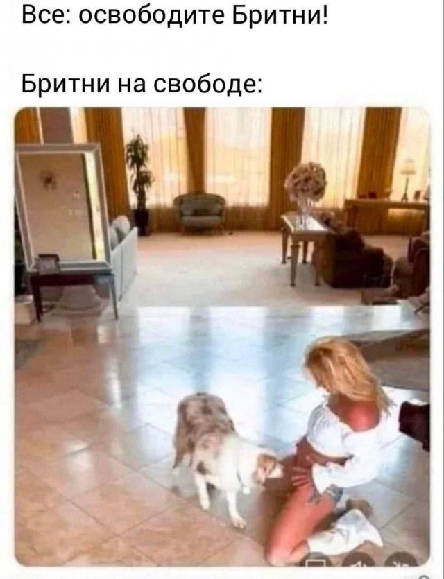 Так себе картинки 05.03.25