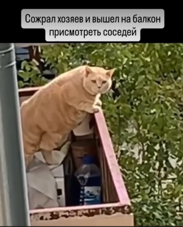 Завалялось тут случайно немного забавных картинок