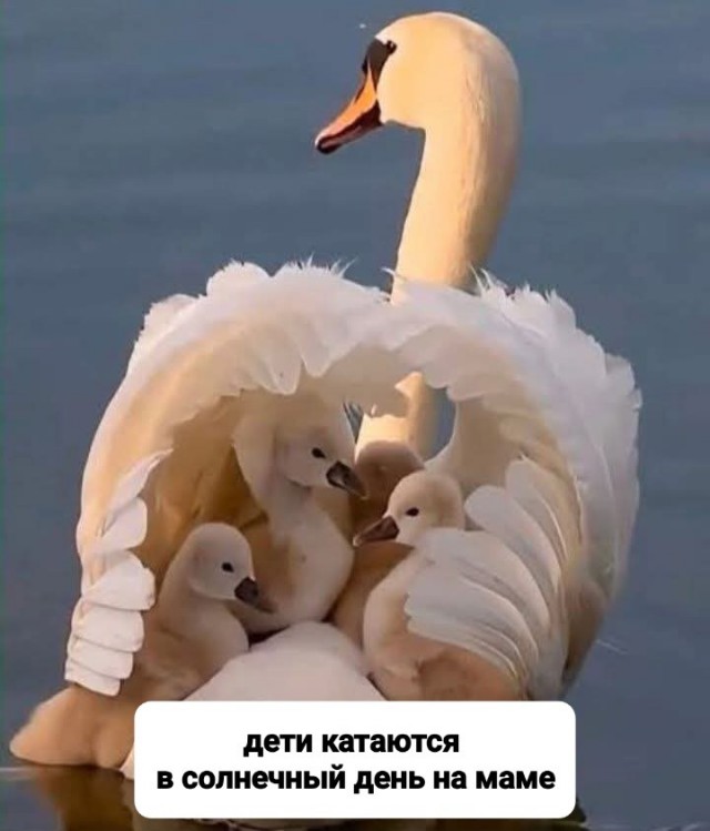 Маленькая пятница 23.07