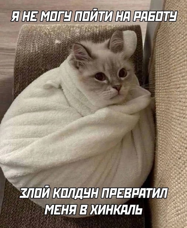 Картинки для деградации 29 (разной степени свежести)