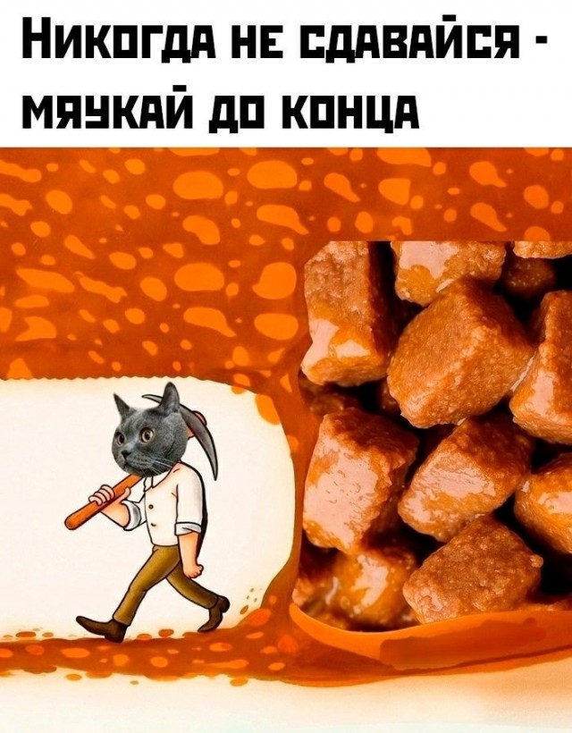 Скоро выходные и ноябрь