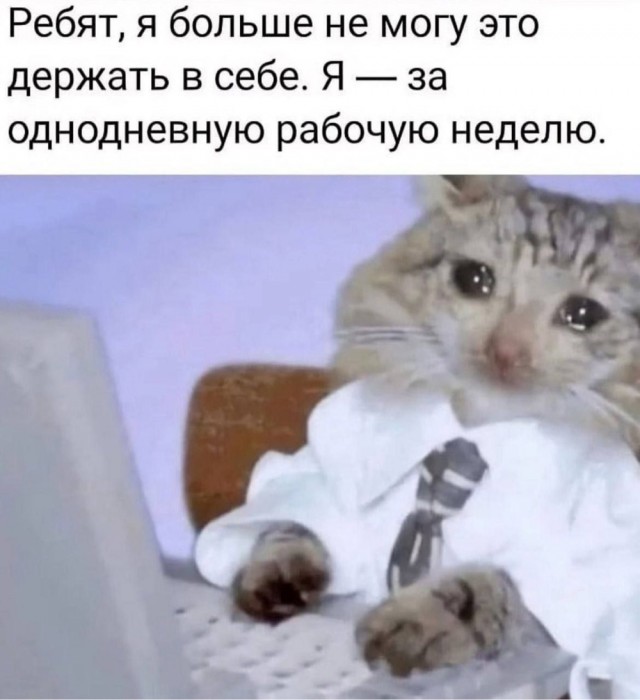 Четверг в картинках
