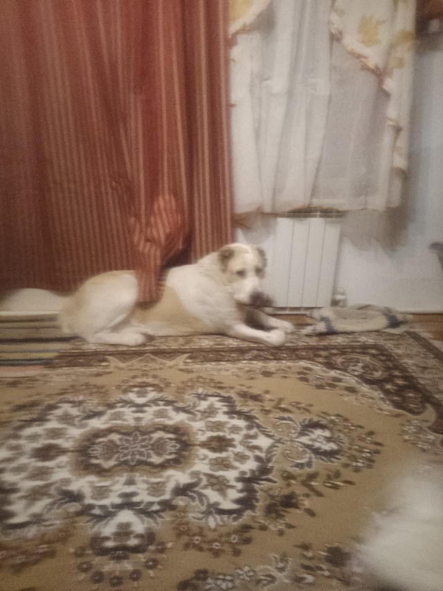 За секунду до...