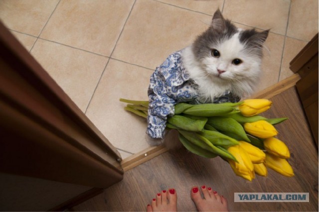 С Праздником!