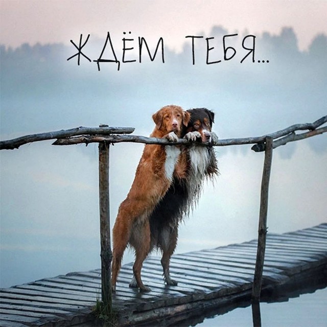 Юбилейный дизель из Коломны