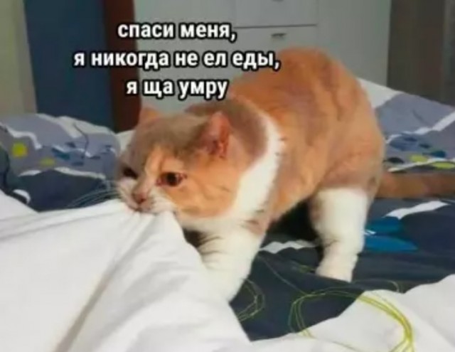 Картиночки, баянчики 15 марта