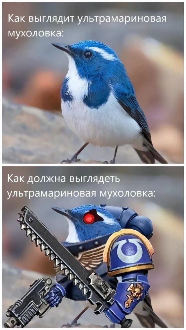 Картинки для деградации 178 (разной степени свежести)
