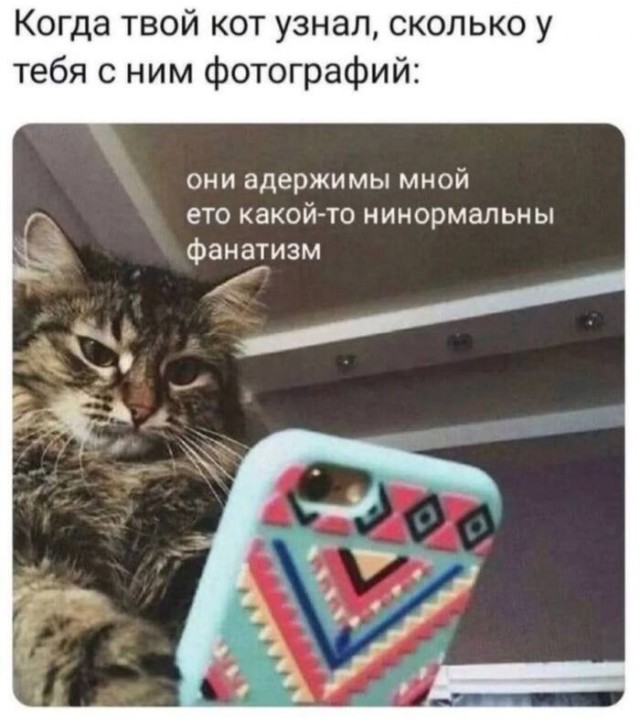 Картиночки, баянчики 27 июня